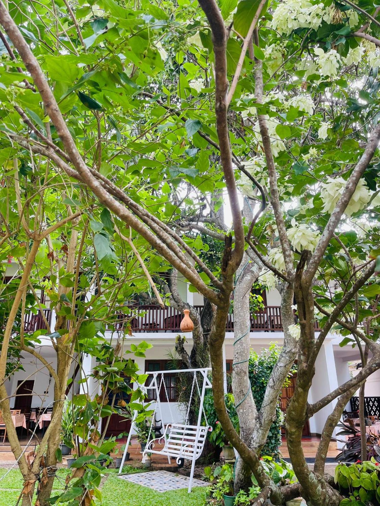 Little Paradise Tourist Guest House And Holiday Home Anuradhapura Luaran gambar